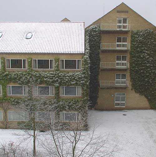 Winter in Aarhus