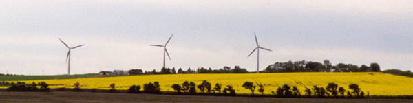 Raps and windmills