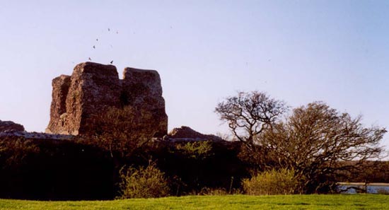 Kalø castle